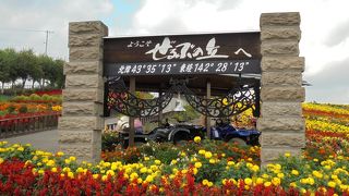 名前を間違えて覚えていた（ぜるぶの丘）