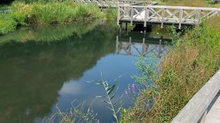 東京のオアシス