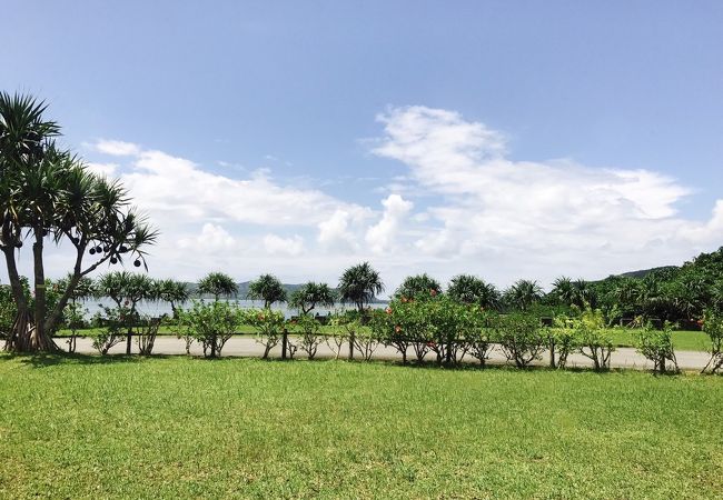 ダシが美味しいそば