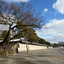 遠くに比叡山が見えます。