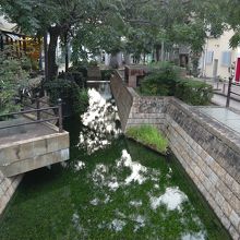 橋の上からの堀の水面