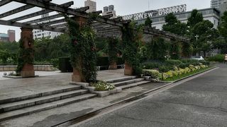 朝の散歩が気持ちいいです