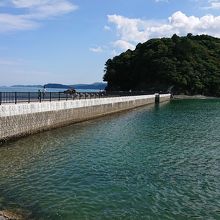 真ん中がこんもり