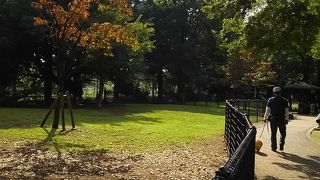 ワンコがいっぱい