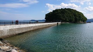 ブロッコリー島