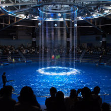 ザ スタジアム（イルカのパフォーマンススタジアム）