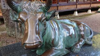 牛をなでて健康を祈る