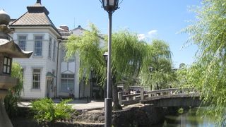 晴天の日風にそよぐ柳並木が涼やかだった