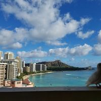 白い鳩がしょっちゅう糞をしていきます