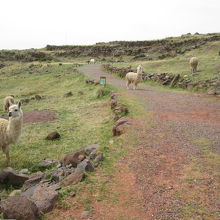 シユスタニ遺跡