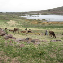 シユスタニ遺跡