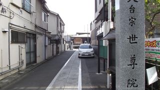 全体的に綺麗ですっきりした寺院です