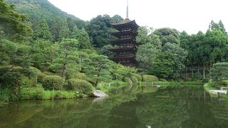 池に映る五重塔が美しい