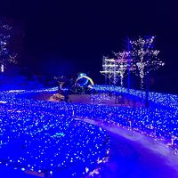 イルミネーションきれい