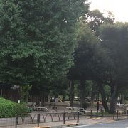 若林公園