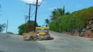 バラマキ用土産を調達しました