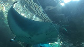 秋のアクアパーク