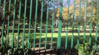 セントラル駅近く。