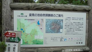 手軽に山歩きができる（姿見の池周遊コース）