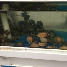 済州家 (海雲台パレドゥシズ店) 