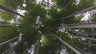 静寂を目で感じる