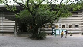 ブラタモリ御出演