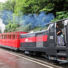 黒い蒸気機関車もあります