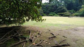 このエリアには珍しい広い庭！