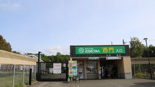 大人だけでも楽しめるこじんまりした動物園