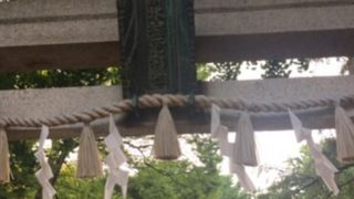 立派なイチョウの木