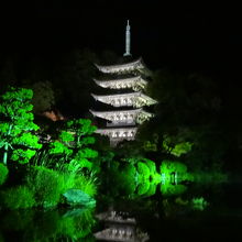 ライトアップは毎晩やってます