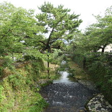 散策が楽しめる一の坂川