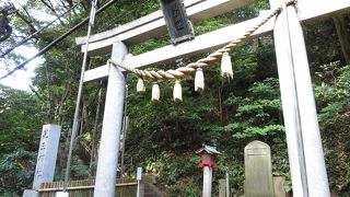 社殿保存修復工事中でした（平成29年6月現在）