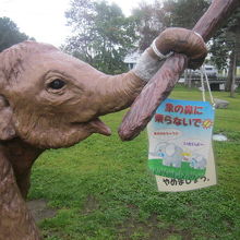 小象さんのお姿に特に注目！