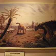 館内に飾られているアンキロサウルス類のすばらしい絵画です！
