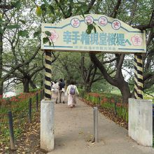 権現堂堤の入り口。幸手駅からバス、または徒歩30分ほど。