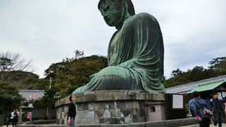 鎌倉 「大仏」さんは変わらず穏やかでした。
