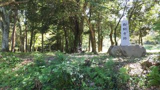 宇佐神宮の中には江戸時代まで大きなお寺が同居していたのでした。