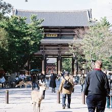 参道から見た南大門