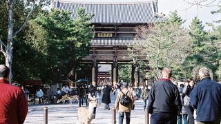 参道を歩いて気分が盛り上がる