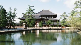 池越しの大仏殿