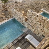 ２階の客室から１階を見たところ。アイベックと言う鹿の仲間が