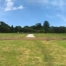 政庁跡です。道路からは見えませんで