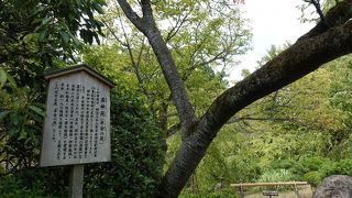 見どころは多いです