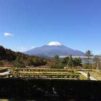 朝食会場から見た富士山