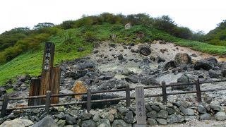 遊歩道あります