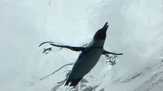 混雑していたが快適