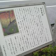歌川広重の絵にも描かれるほどの梅だったそうです