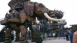 乗っても楽しいし、見ても楽しいです