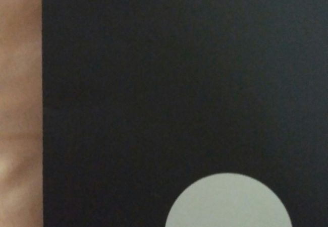 アナベルリーシャンハイ